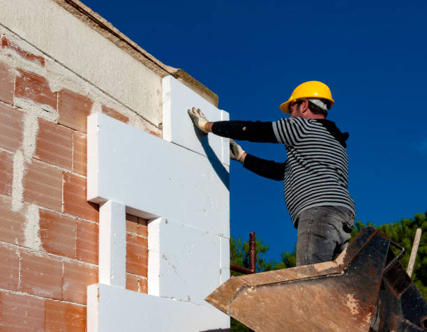 Best Insulation Inspection Services  in Richlands, VA