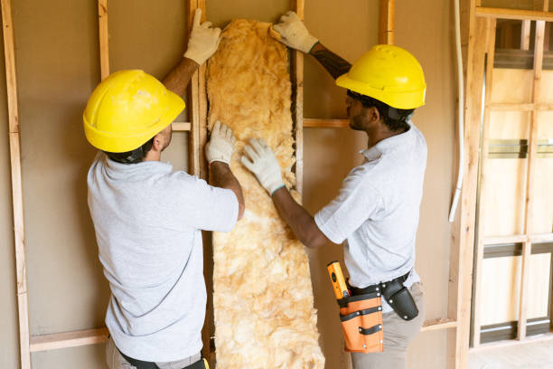 Best Attic Insulation Installation  in Richlands, VA