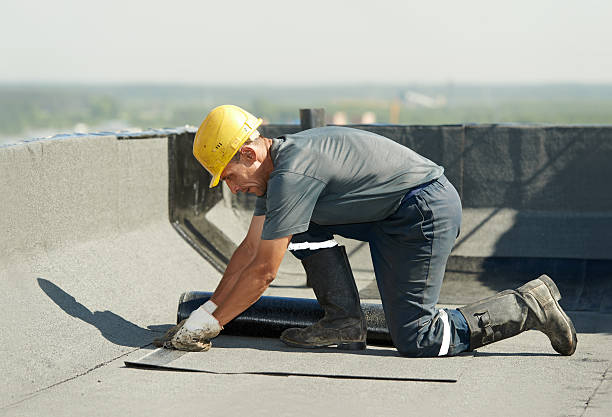 Best Insulation Removal  in Richlands, VA